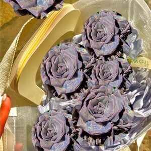 CJ HENDRY LIMITED EDITION RELEASE FLOWER SHOP GLITTER SILVER Peonies JUJU